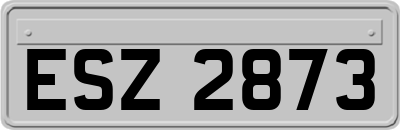 ESZ2873