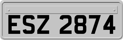 ESZ2874
