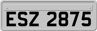 ESZ2875