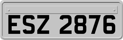 ESZ2876