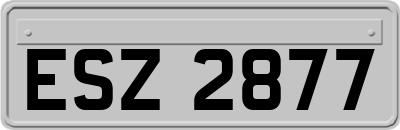 ESZ2877