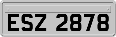 ESZ2878
