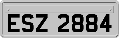 ESZ2884