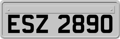 ESZ2890