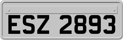ESZ2893