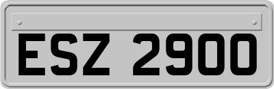 ESZ2900