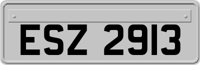 ESZ2913
