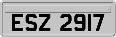 ESZ2917