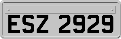 ESZ2929