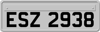 ESZ2938
