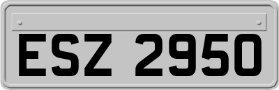 ESZ2950