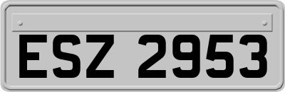 ESZ2953