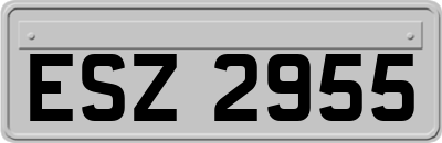 ESZ2955