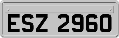 ESZ2960