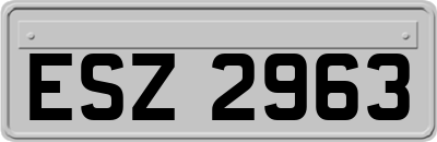 ESZ2963