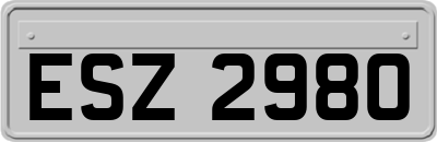 ESZ2980