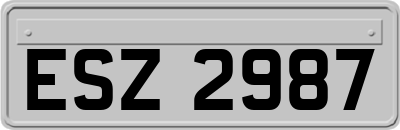 ESZ2987