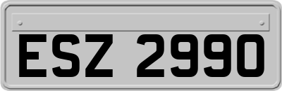 ESZ2990