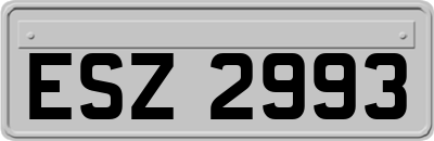 ESZ2993