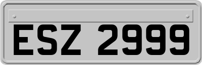 ESZ2999
