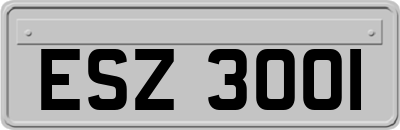 ESZ3001