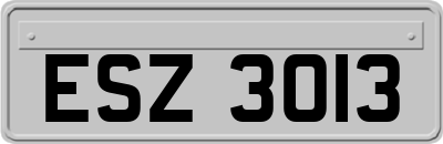 ESZ3013