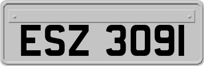 ESZ3091