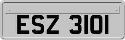 ESZ3101