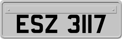 ESZ3117