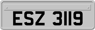 ESZ3119