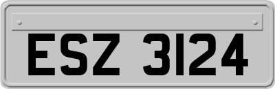 ESZ3124