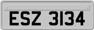ESZ3134