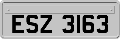 ESZ3163