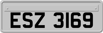 ESZ3169