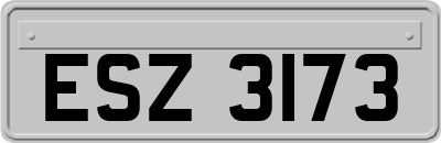 ESZ3173