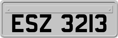 ESZ3213