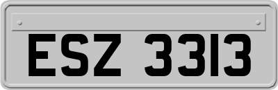 ESZ3313