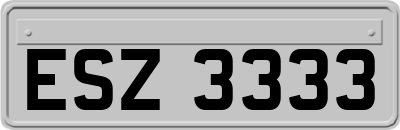 ESZ3333