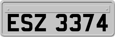 ESZ3374