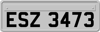 ESZ3473