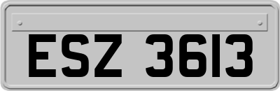 ESZ3613