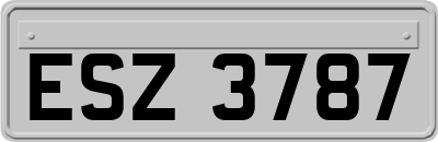 ESZ3787