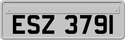 ESZ3791