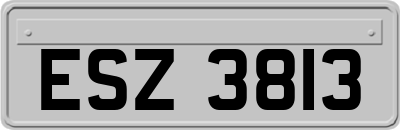 ESZ3813