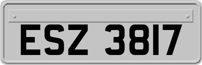 ESZ3817