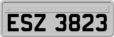ESZ3823