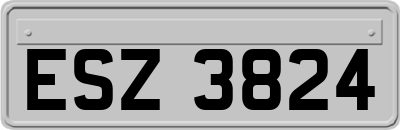 ESZ3824