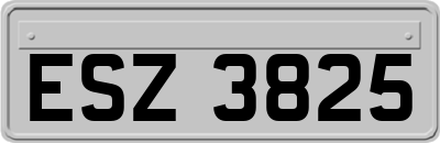 ESZ3825