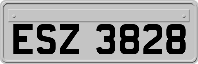 ESZ3828