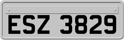 ESZ3829